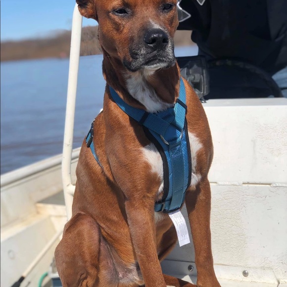 Meet your Posher, Trina - Picture 3 of 8